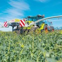 CLAAS запасные части каталог